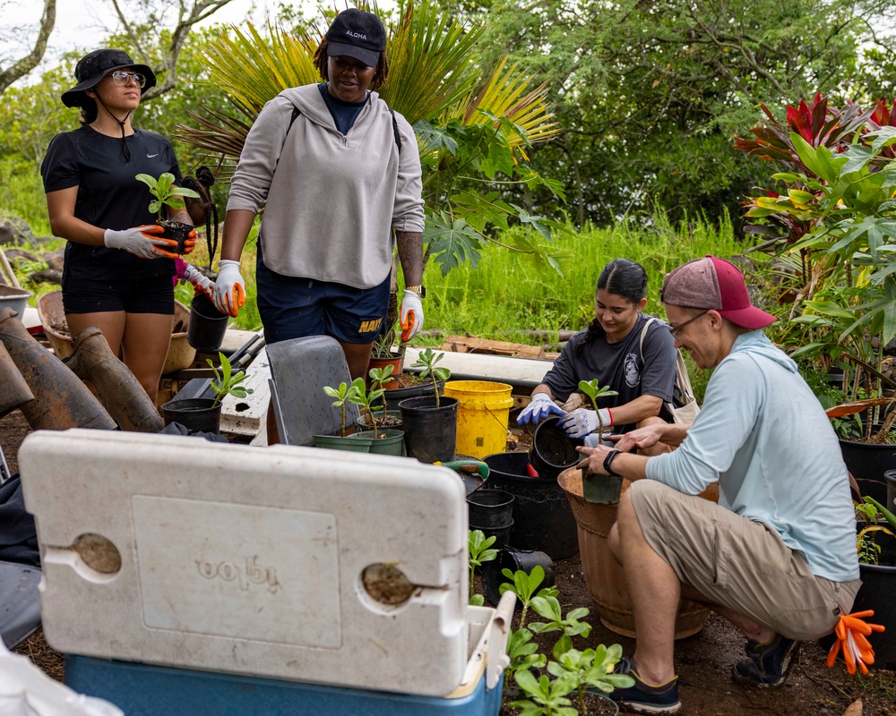 Sailors Partner With Community To Restore Historic Hawaiian Fishpond