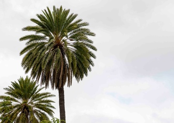 Sailors Partner With Community To Restore Historic Hawaiian Fishpond