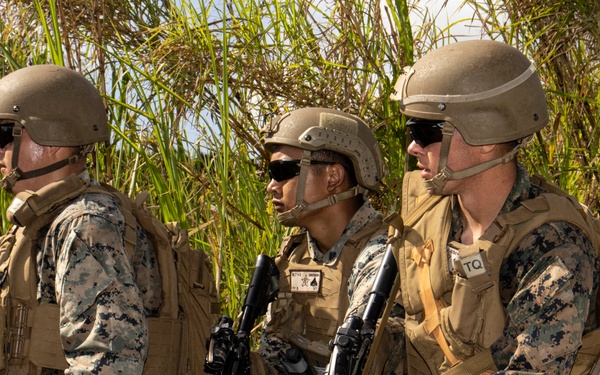 CAAT-2 conducts MOUT