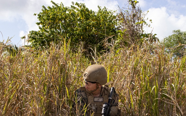 CAAT-2 conducts MOUT