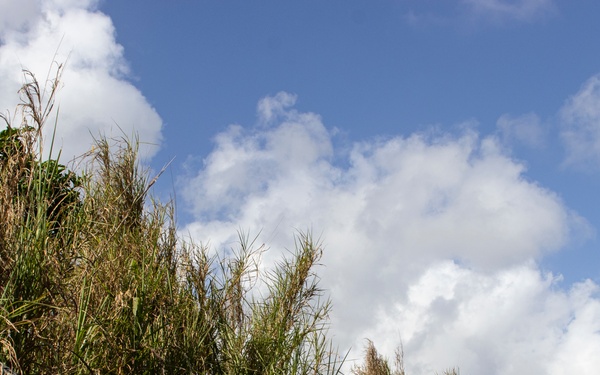 CAAT-2 conducts MOUT