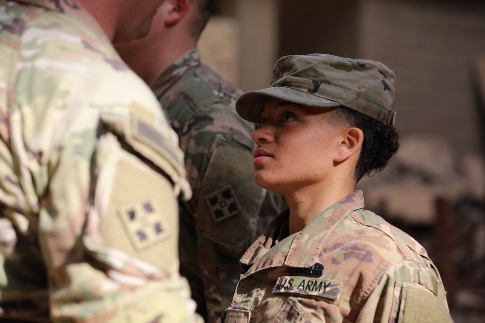 Soldiers earn the Combat Action Badge [46 of 47]