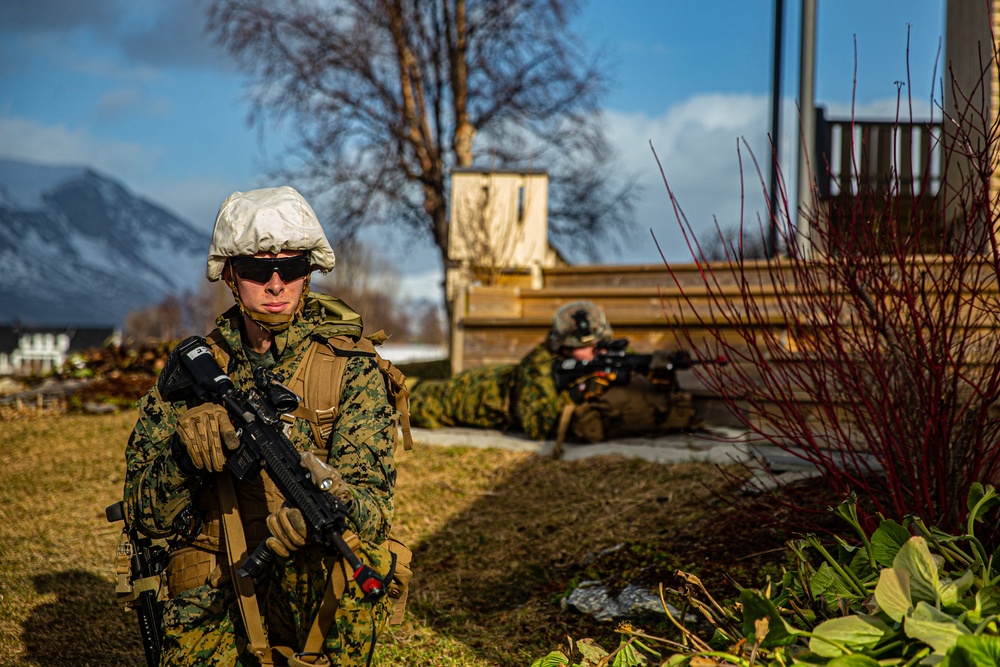 U.S. Marines and Korps Mariniers Perform an Amphibious Landing During Exercise Cold Response 22