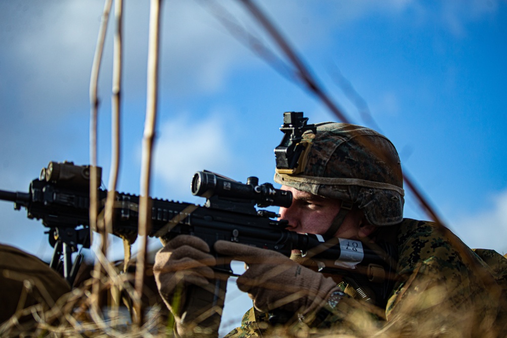 U.S. Marines and Korps Mariniers Perform an Amphibious Landing During Exercise Cold Response 22
