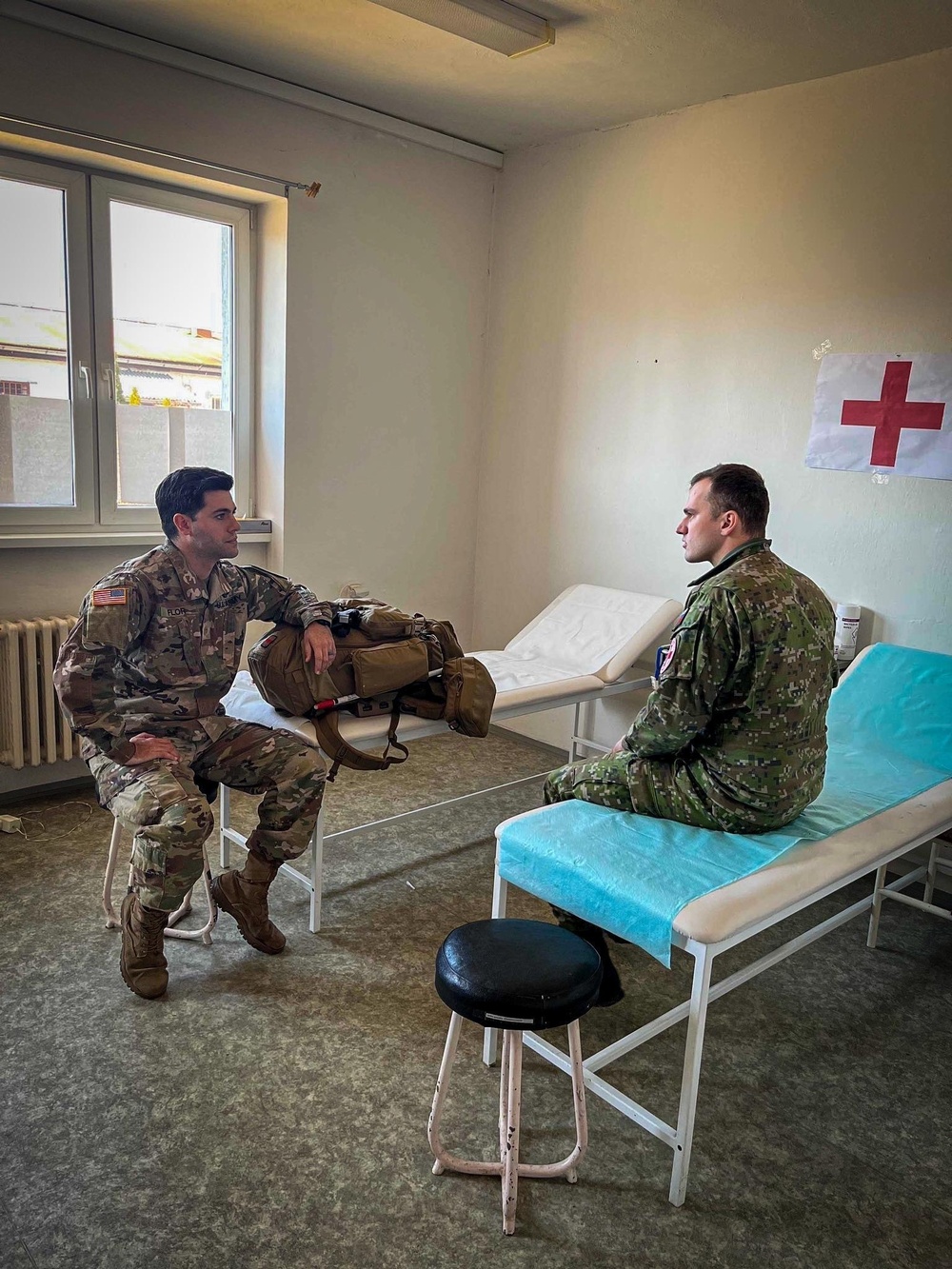 Optimizing Medical Interoperability With NATO Allies