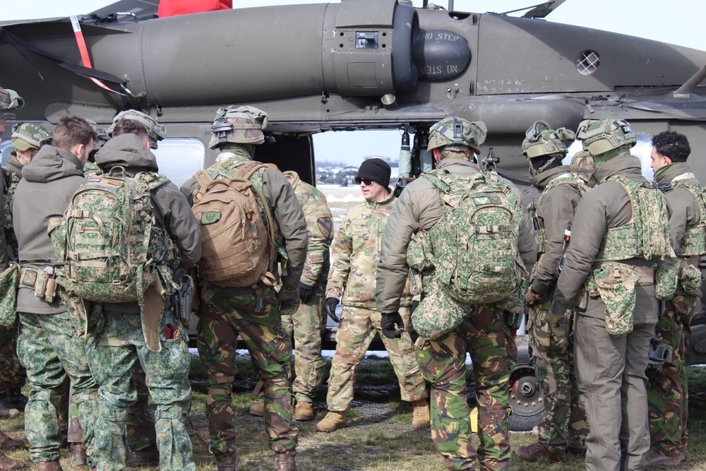 Bravo Company &quot;Jokers&quot; 3-227th Assault Helicopter Battalion conducts Cold Load Training with the Royal Netherlands 11th Infantry Brigade during Rapid Falcon 2022