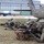 The image shows soldiers in camouflage uniforms in a prone firing position on a grass area next to a United States Army helicopter, likely during a military exercise or training operation. In the background, a Romanian Air Force MiG-21 jet aircraft (tail number 6421) is visible on the tarmac near a hangar. The scene appears to be at a Romanian military airbase, suggesting a joint NATO or bilateral training exercise.