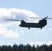 Saber Strike Air Assault