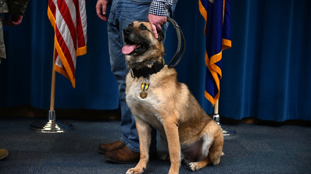 Military Working Dog Retirement Ceremony