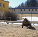 U.S. and Czech Soldiers Participate in a Cultural Day Hosted by the Czech Army