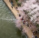 1st Helicopter Squadron flies over Cherry Blossom Festival