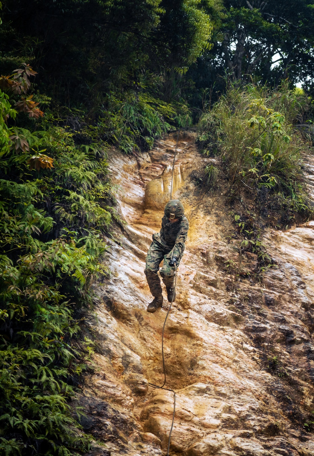 III MIG at Jungle Warfare Training Center: Rappelling