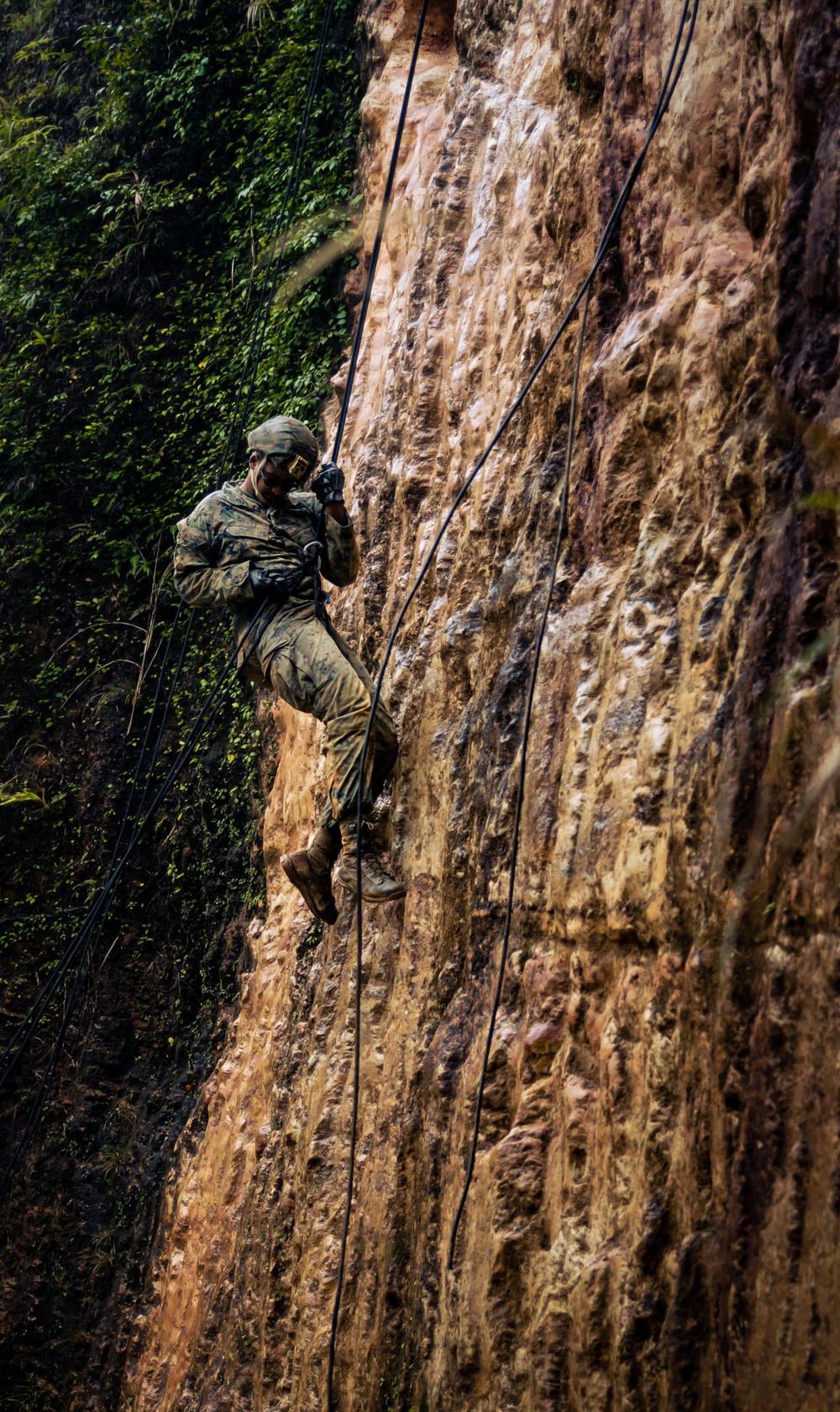 III MIG at Jungle Warfare Training Center: Rappelling