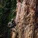 III MIG at Jungle Warfare Training Center: Rappelling