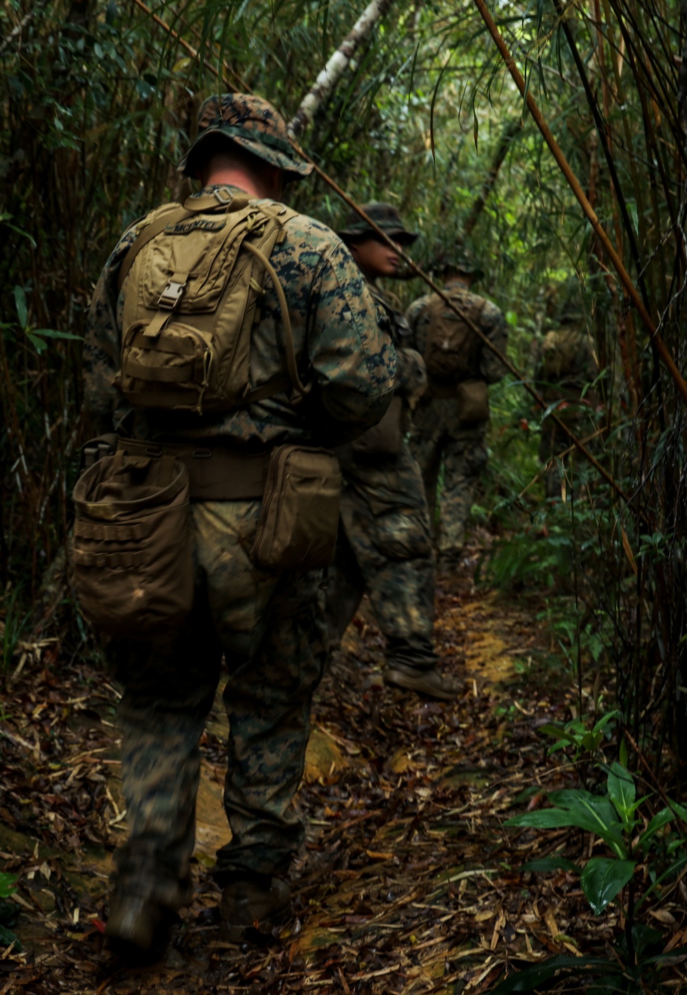 III MIG at Jungle Warfare Training Center: Land Navigation