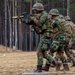 Dutch Marines advance at training targets