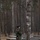Dutch 1LTC observes enlisted Marines conduct fire and movement drills Dutch 1LTC observes enlisted Marines conduct fire and movement drills