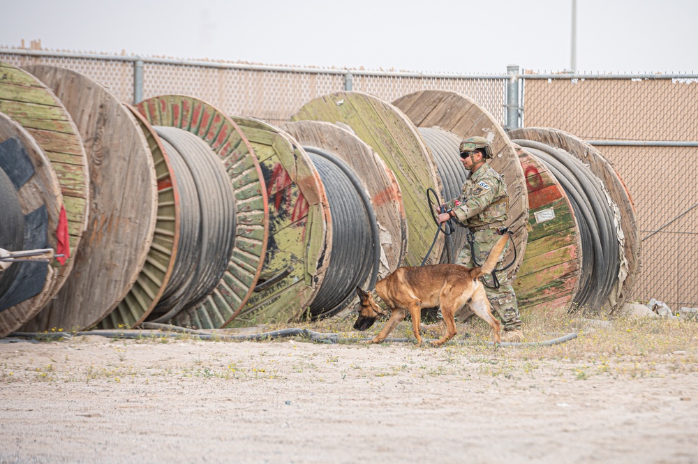 And the next Military Top Dog is...