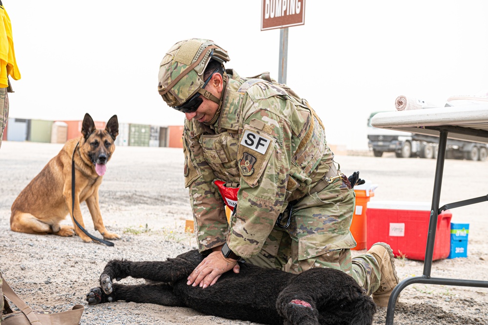 And the next Military Top Dog is...