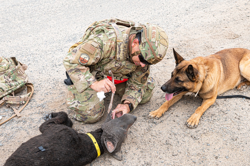 And the next Military Top Dog is...