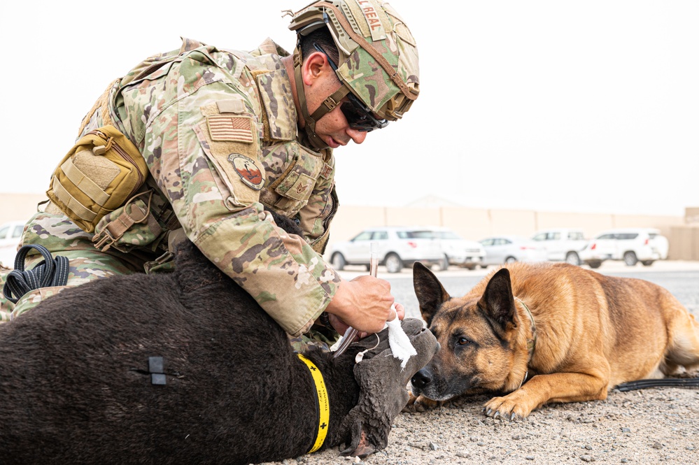 And the next Military Top Dog is...