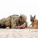 And the next Military Top Dog is...