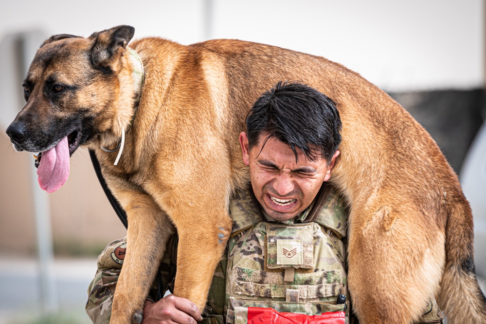 And the next Military Top Dog is...