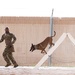 And the next Military Top Dog is...