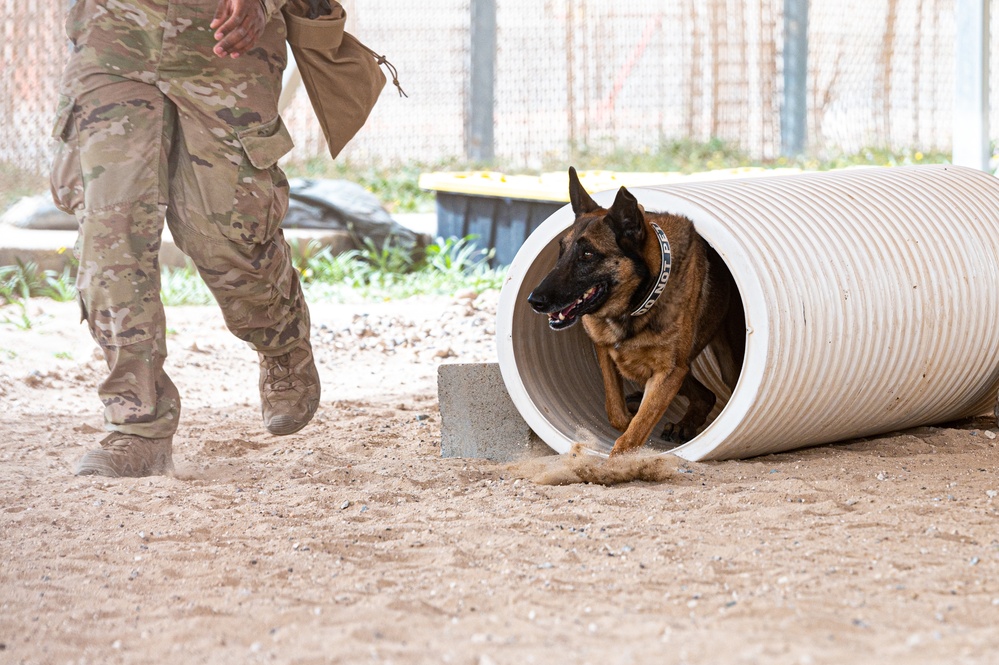 And the next Military Top Dog is...