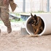 And the next Military Top Dog is...