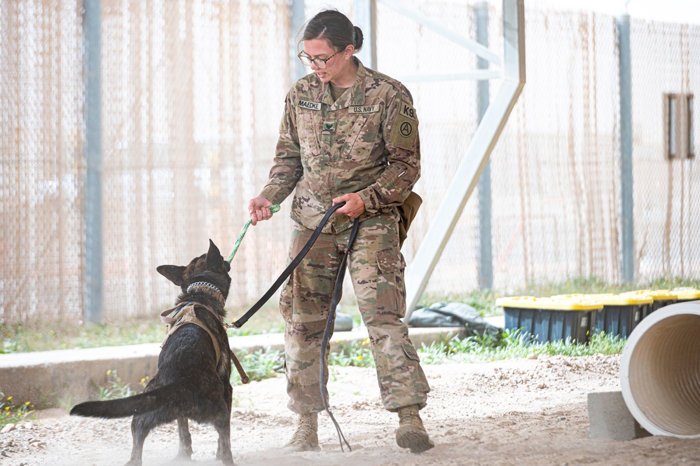 And the next Military Top Dog is...