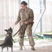 And the next Military Top Dog is...