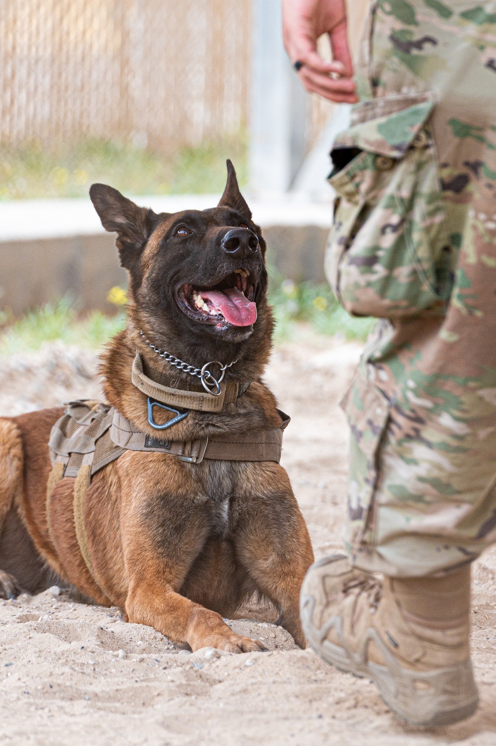 And the next Military Top Dog is...