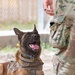 And the next Military Top Dog is...