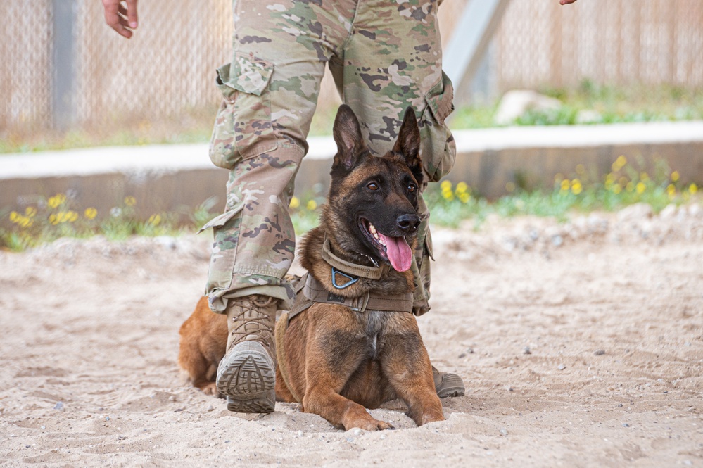 And the next Military Top Dog is...