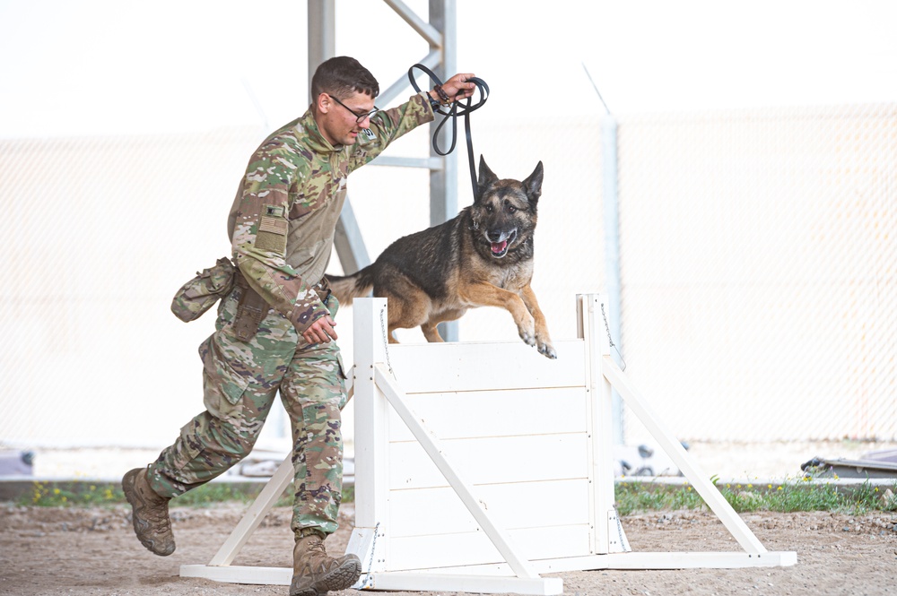 And the next Military Top Dog is...