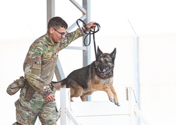 And the next Military Top Dog is...