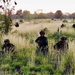 3rd SFR Royal Thai Army Rangers, 1st SFG (A) Green Berets complete live-fire culminating exercise in Lopburi Province