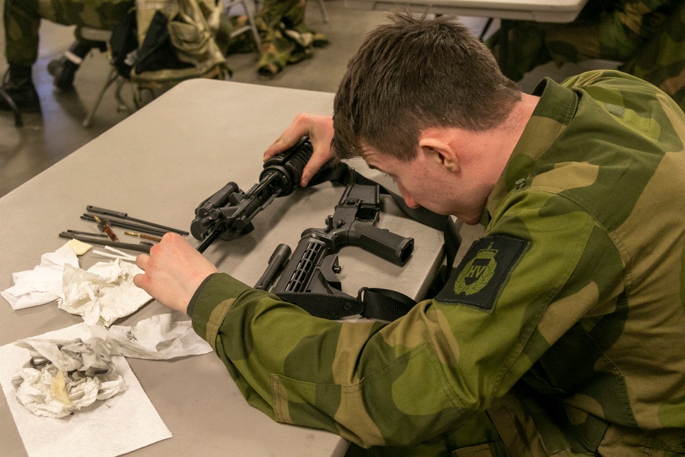 Norwegian Youth clean weapons