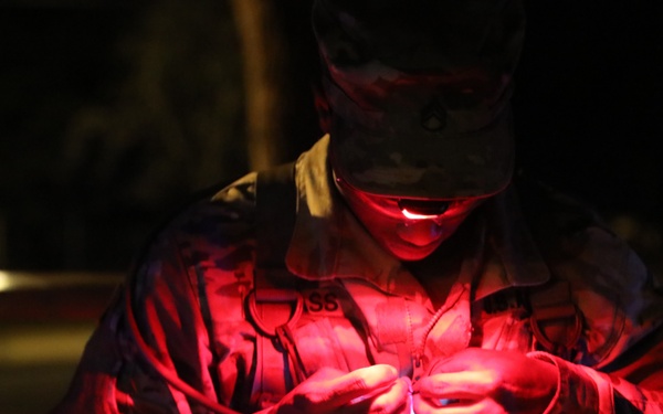 Just Give Me the Light