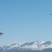F-22s launch for ACE-focused PF 22-4