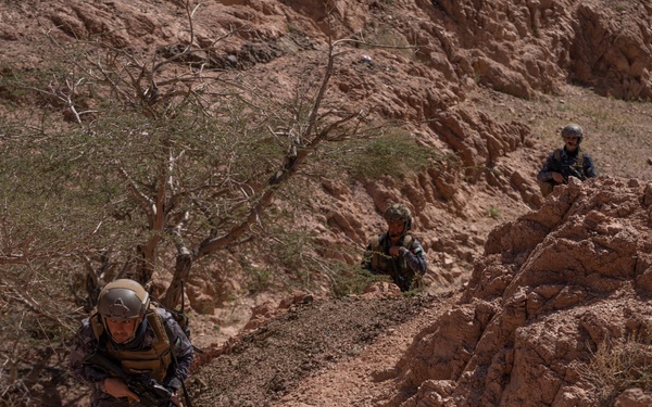 Intrepid Maven final exercise (FINEX) 2