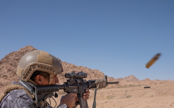 Intrepid Maven final exercise (FINEX) 2