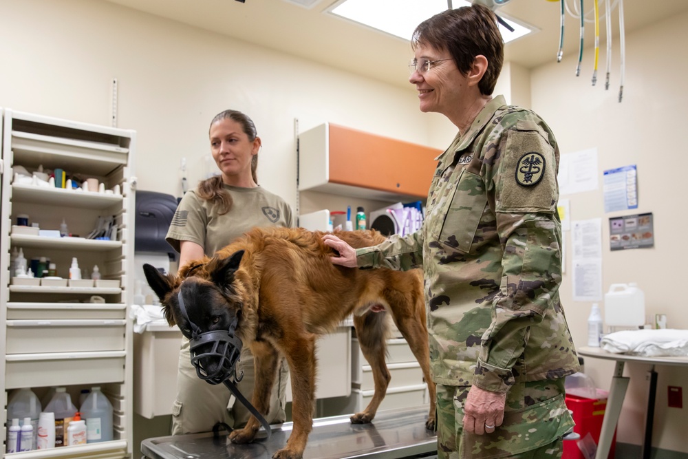 Army Veterinary Corps Chief visits Holland Military Working Dog Hospital