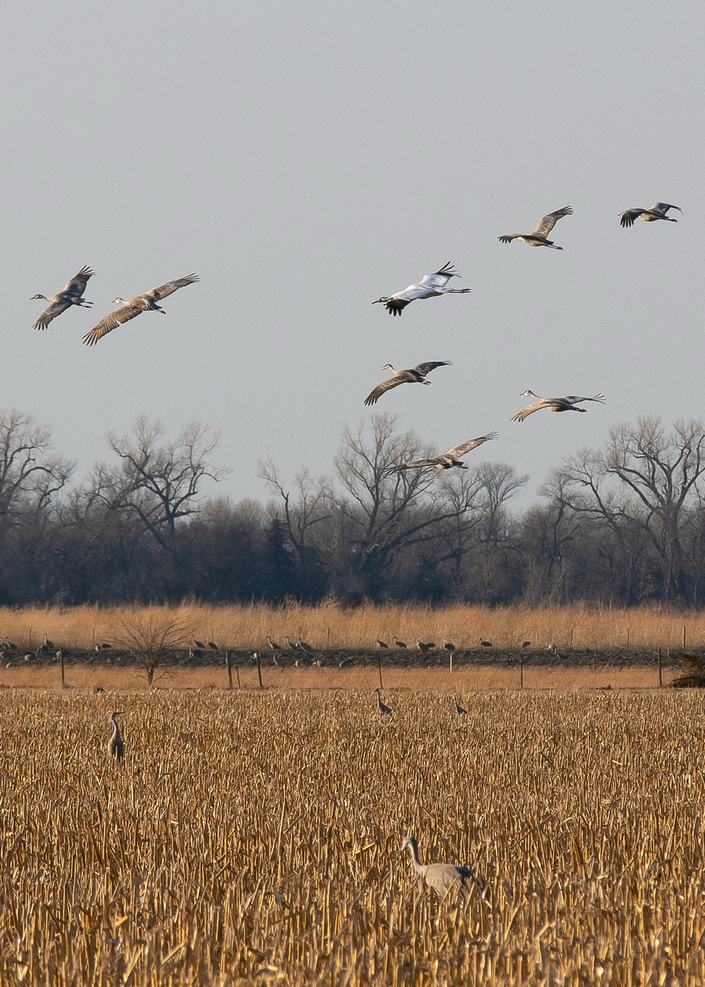 Nebraska environmental team receives award