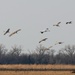 Nebraska environmental team receives award