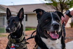 Nellis AFB opens new dog parks