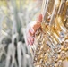 NBSW Brass Quintet - Phoenix Zoo Pop Up Performance