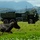 Balikatan 22 Combined Live Fire Exercise