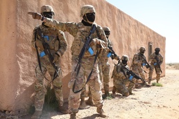 Blackjack Warrior 2022